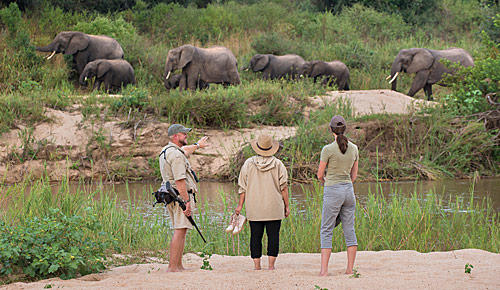 Bush walks with Kruger Park Safaris.
