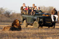 kruger national park safari drives